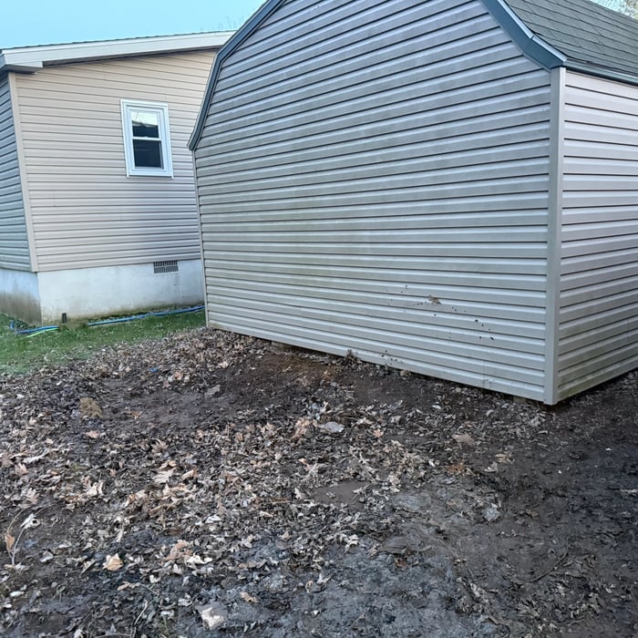 Backyard Cleanup