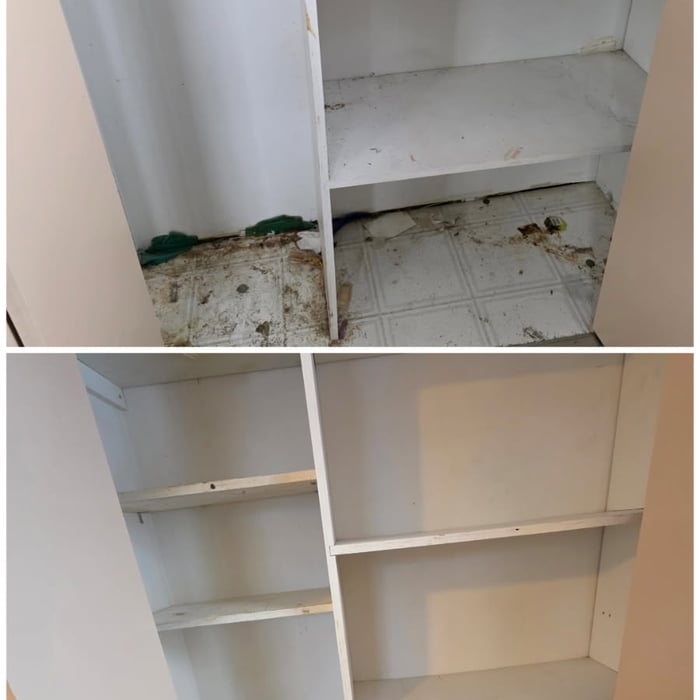 Interior move in clean