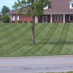 Lawn Striping