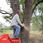 Tree Trimming