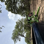 Tree Trimming