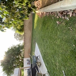 Sod installation