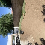 Sod installation