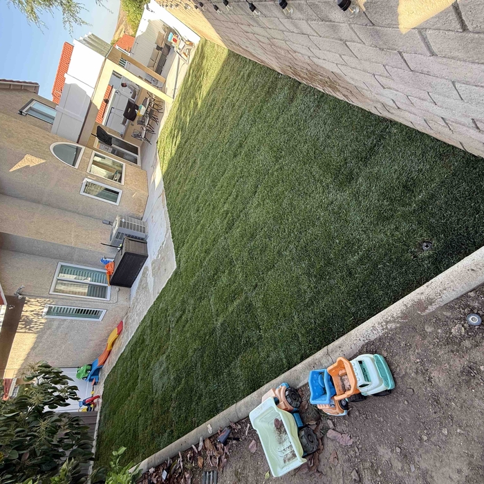 Sod installation