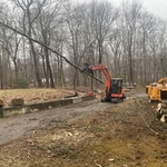 Tree Removals