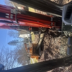 Tree Removals