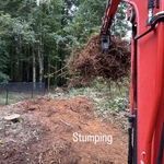 Tree Removals