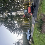 Tree Removals