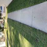 Lawn Maintenance