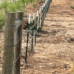 Barb wire fencing
