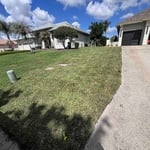 Sod and plant install