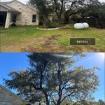 Tree Service Project