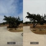 Tree Service Project