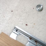 BED BUGS