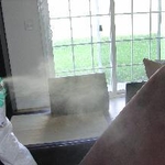 Flea Treatment