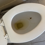 Move out clean