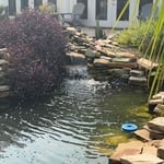 Pond with dual bio falls