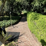 DRIVEWAYS