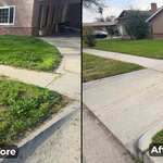 Lawn Restoration