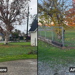 Lawn Restoration