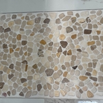 Shower Remodel