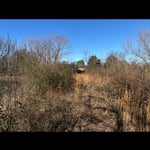 Project photos