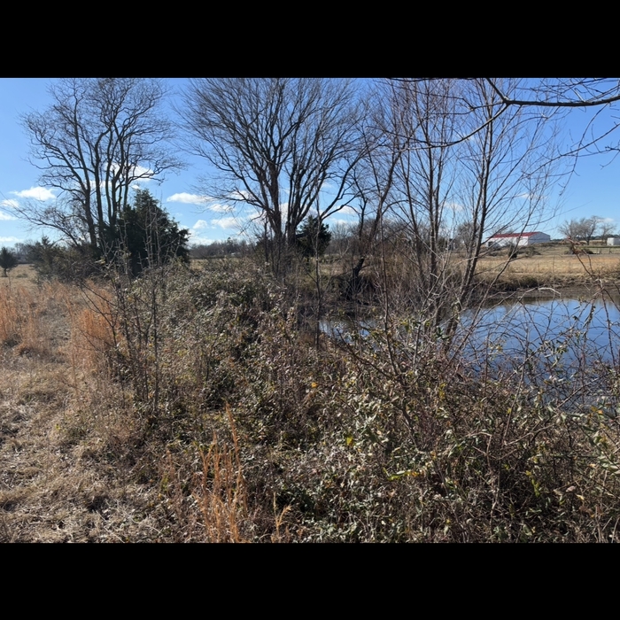 Project photos
