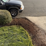 Small shrub removal