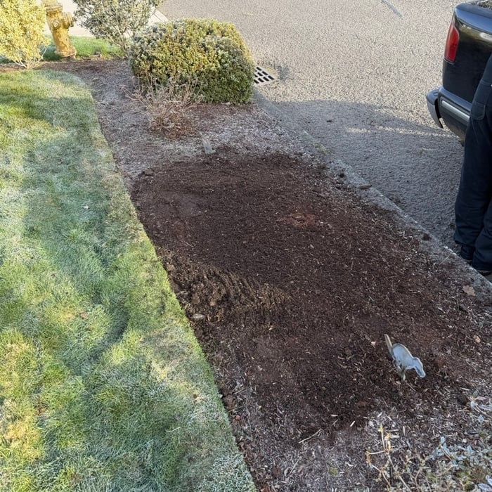 Small shrub removal