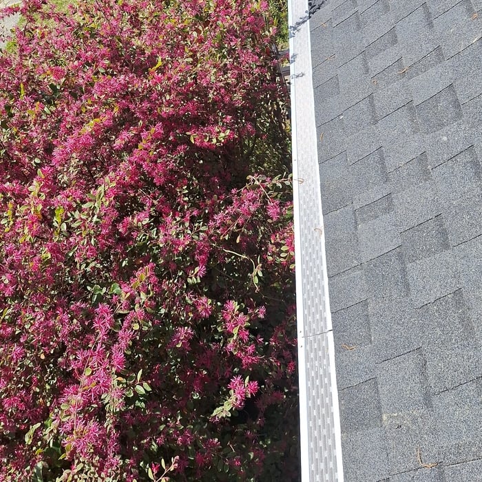 Gutter Guards