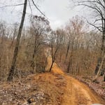 Project Photos