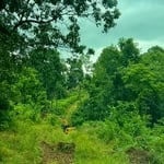 Site prep/Barndo build