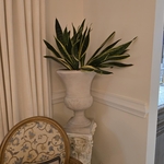 Wainscoting -Bellfonte