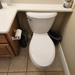 Toilet replacement