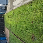 Lawn jobs