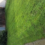 Lawn jobs