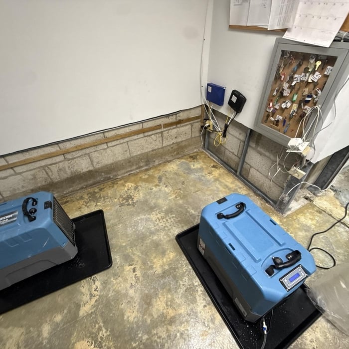 Mold Remediation Job