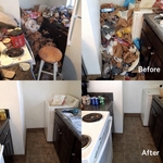 Junk Removal