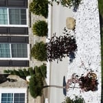 White Marble Project