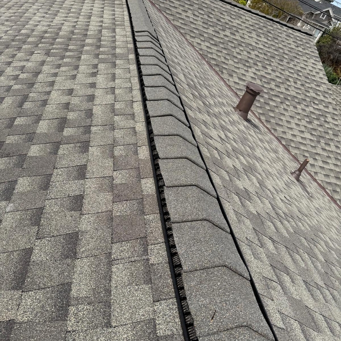 Roofing Project