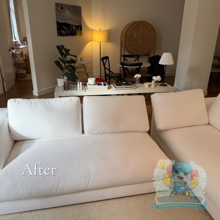 Couch cleaning