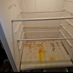 Refrigerator Cleaning