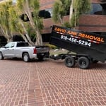 David Junk Removal
