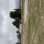 Green Waste Removal