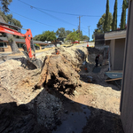 Stump Removal