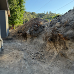 Stump Removal
