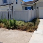 Back yard clean up