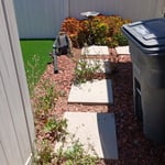 Back yard clean up