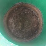 Septic pumping