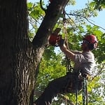 Our Crews in Action